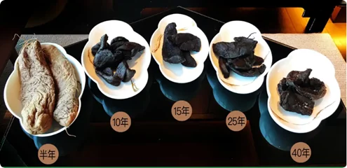 不同年份的潮汕老菜脯：半年、10年、15年、25年、40年，色泽由浅褐渐变为黝黑油润
