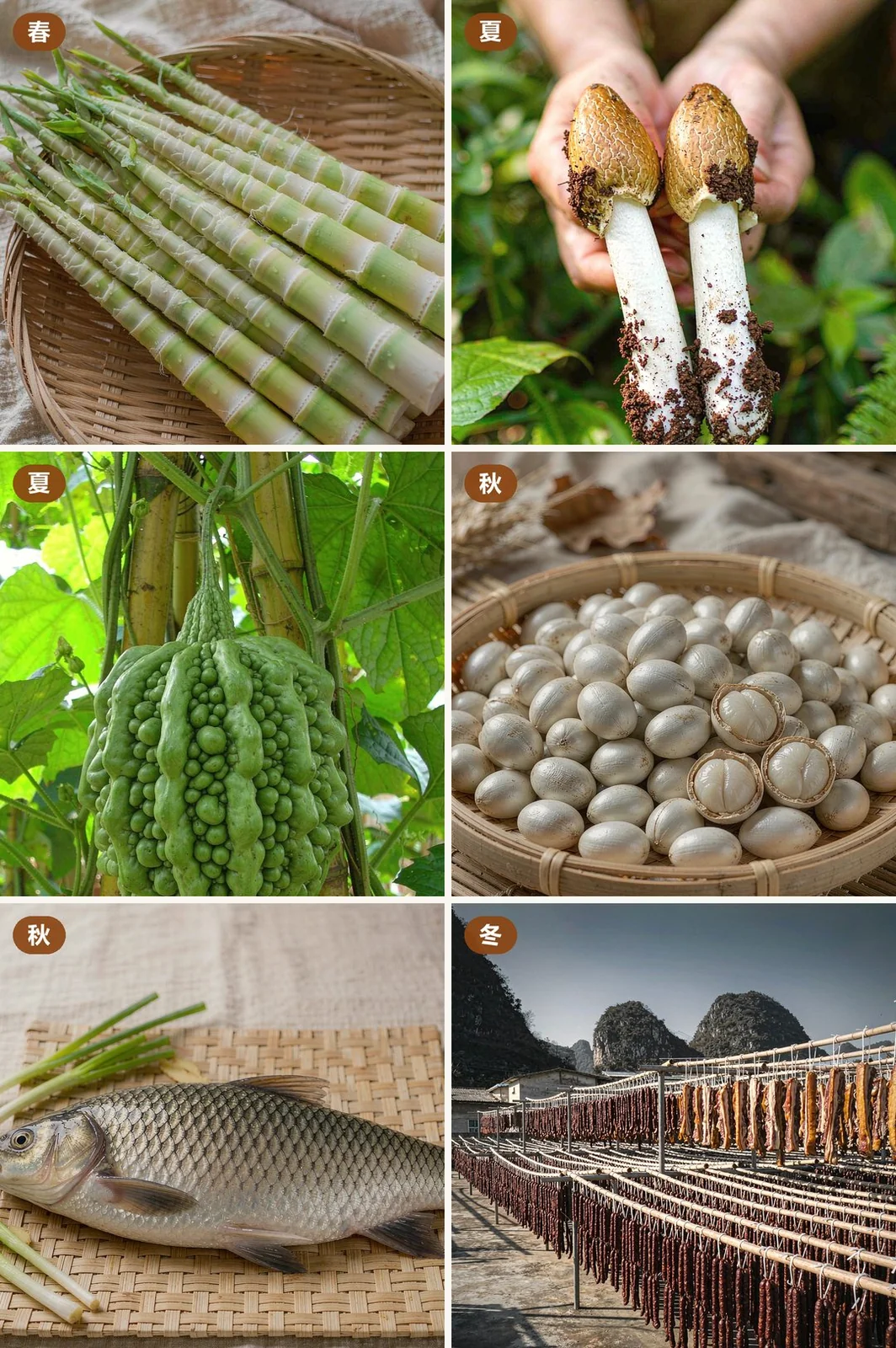 广东四季代表性食材六格：春笋、荔枝菌、雷公凿凉瓜、南雄白果、文庆鲤、东陂腊味