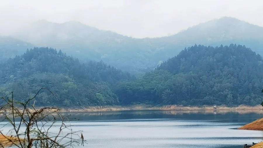 像风一样自由的斜杠青年-插图19